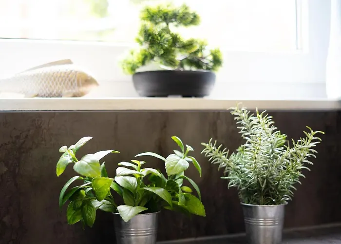 Lägenhet Birkenblick Grömitz